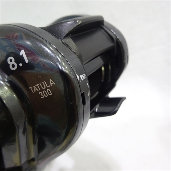 ２１タトゥーラ３００